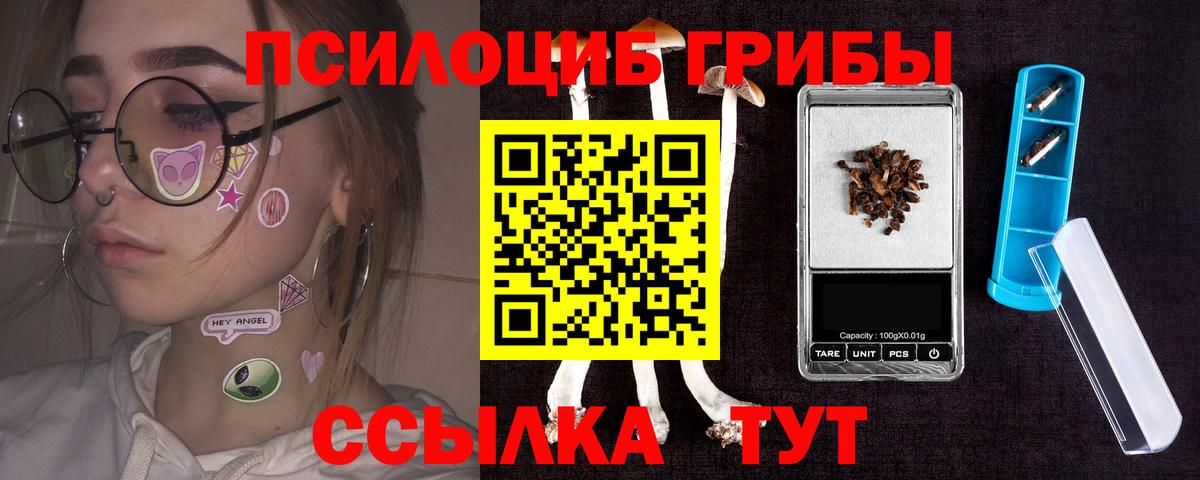 Псилоцибиновые грибы Cubensis Ахтубинск
