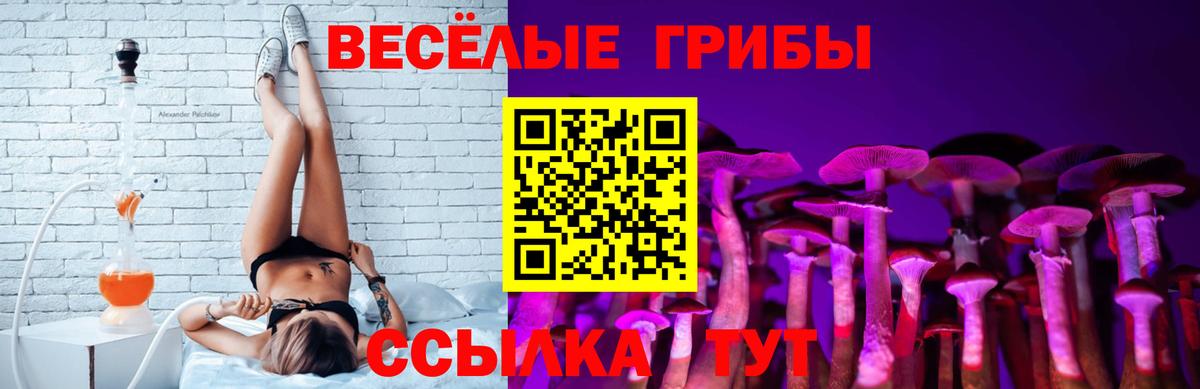 Галлюциногенные грибы MAGIC MUSHROOMS  Вход с VPN  Ахтубинск  Псилоцибиновые грибы Psilocybine cubensis 